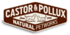 Castor & Pollux Thumb