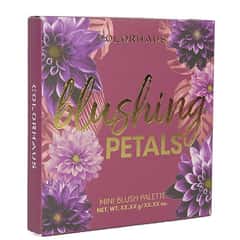 Colorhaus Mini Blush Palette, Blushing Petals