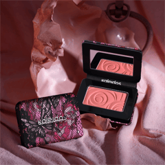 Kaleidos Pressed Powder Blush, P05 Ecstasy