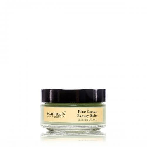 evanhealy Blue Cactus Beauty Balm