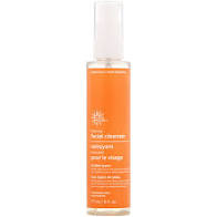 Earth Science Foaming Facial Cleanser