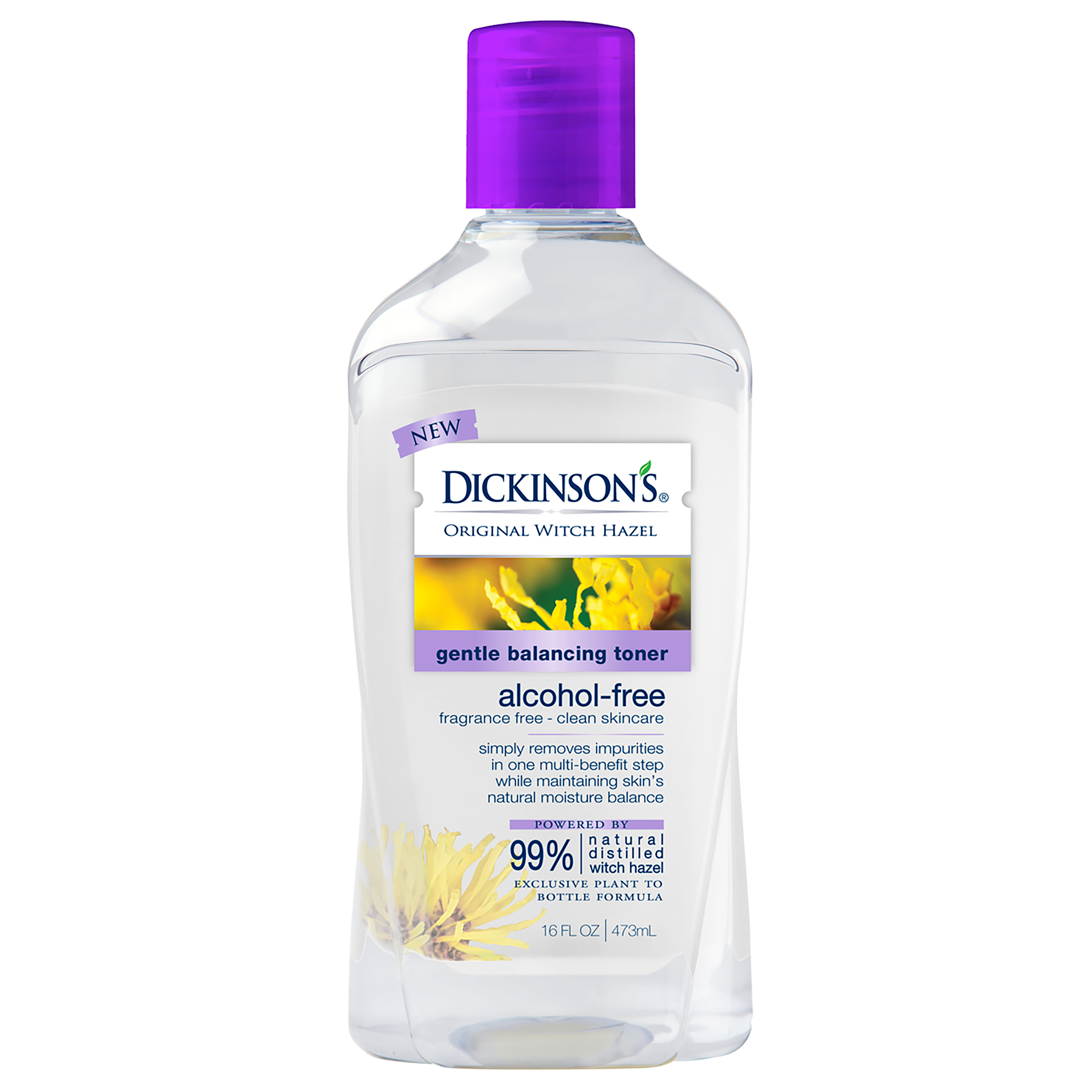 Dickinson's Gentle Balancing Toner (2020 formulation)