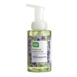 CleanWell, All-Natural Antibacterial Foaming Hand soap, Lavender (2020 formulation)