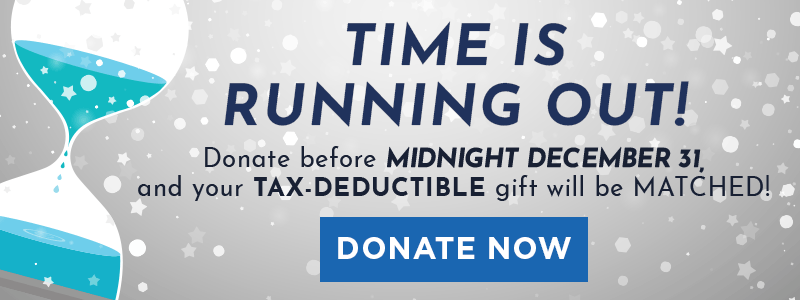 angel heals organic baby lotion